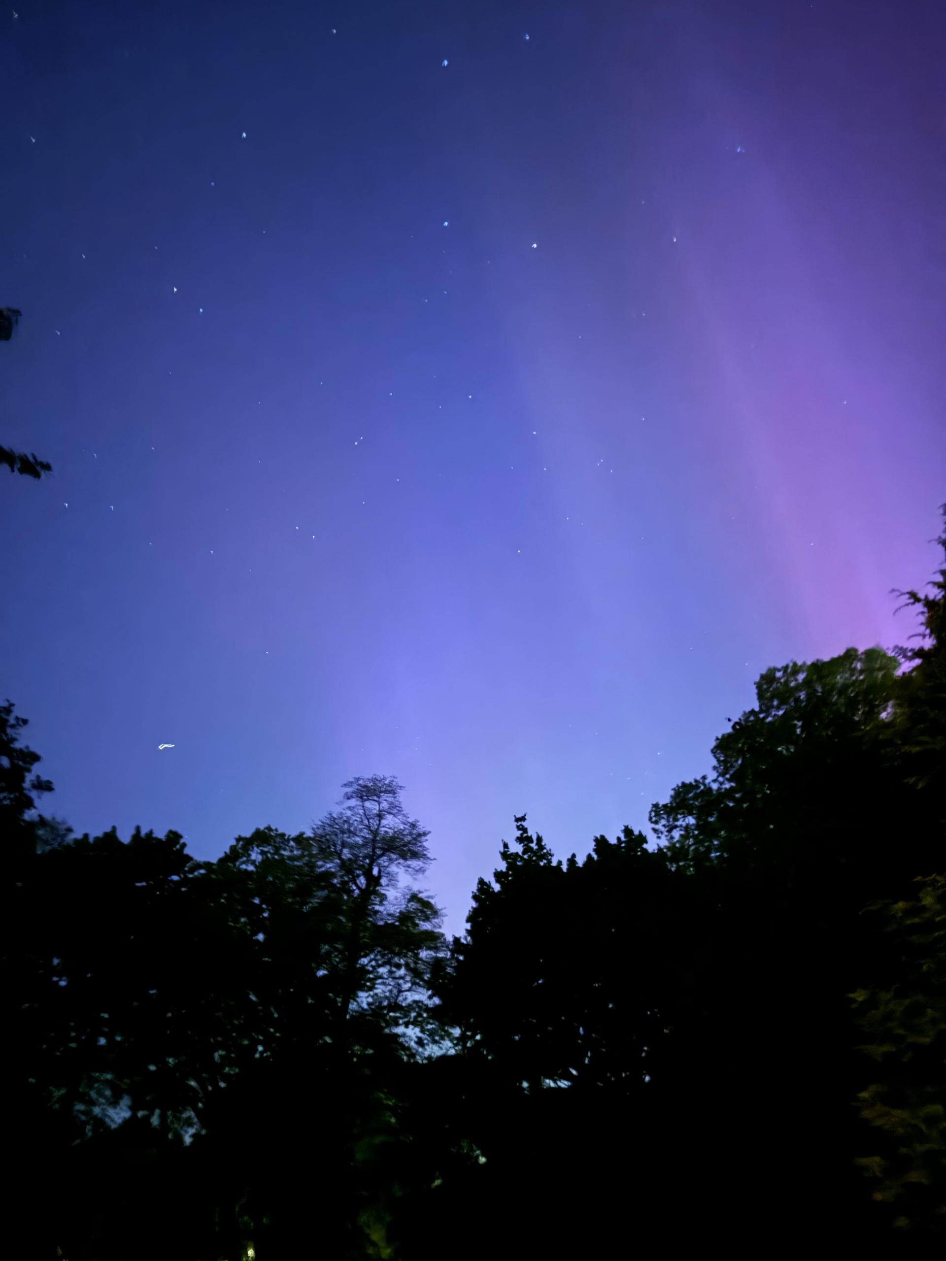 Melissa in the Morning: The Northern Lights in Connecticut