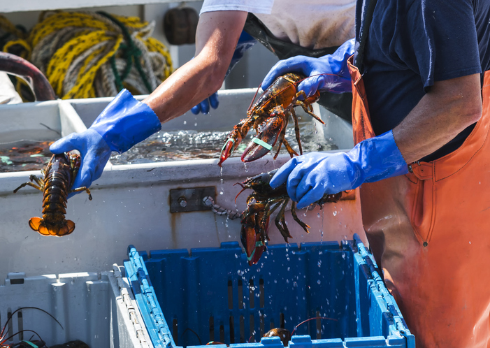 The Lisa Wexler Show – Connecticut’s Last Lobsterman