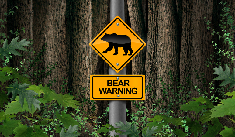 The Lisa Wexler Show – Opposing Bear Hunts And Looking At The Monster Housing Bill