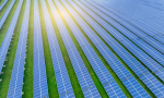 The Lisa Wexler Show – Will Remington Woods Become A Solar Farm?