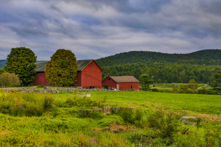 The Lisa Wexler Show – Preserving Connecticut’s Farmland And Open Spaces