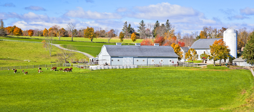 The Lisa Wexler Show – Easton’s Incredible Working Farms!