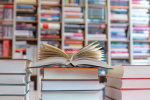 The Lisa Wexler SHow – NYT Bestselling Connecticut Author, Martha Hall Kelly