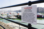 Melissa in the Morning: Blue-Green Algae