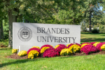 The Lisa Wexler Show – Brandeis President Arthur Levine: What’s The ROI For A College Degree Today?