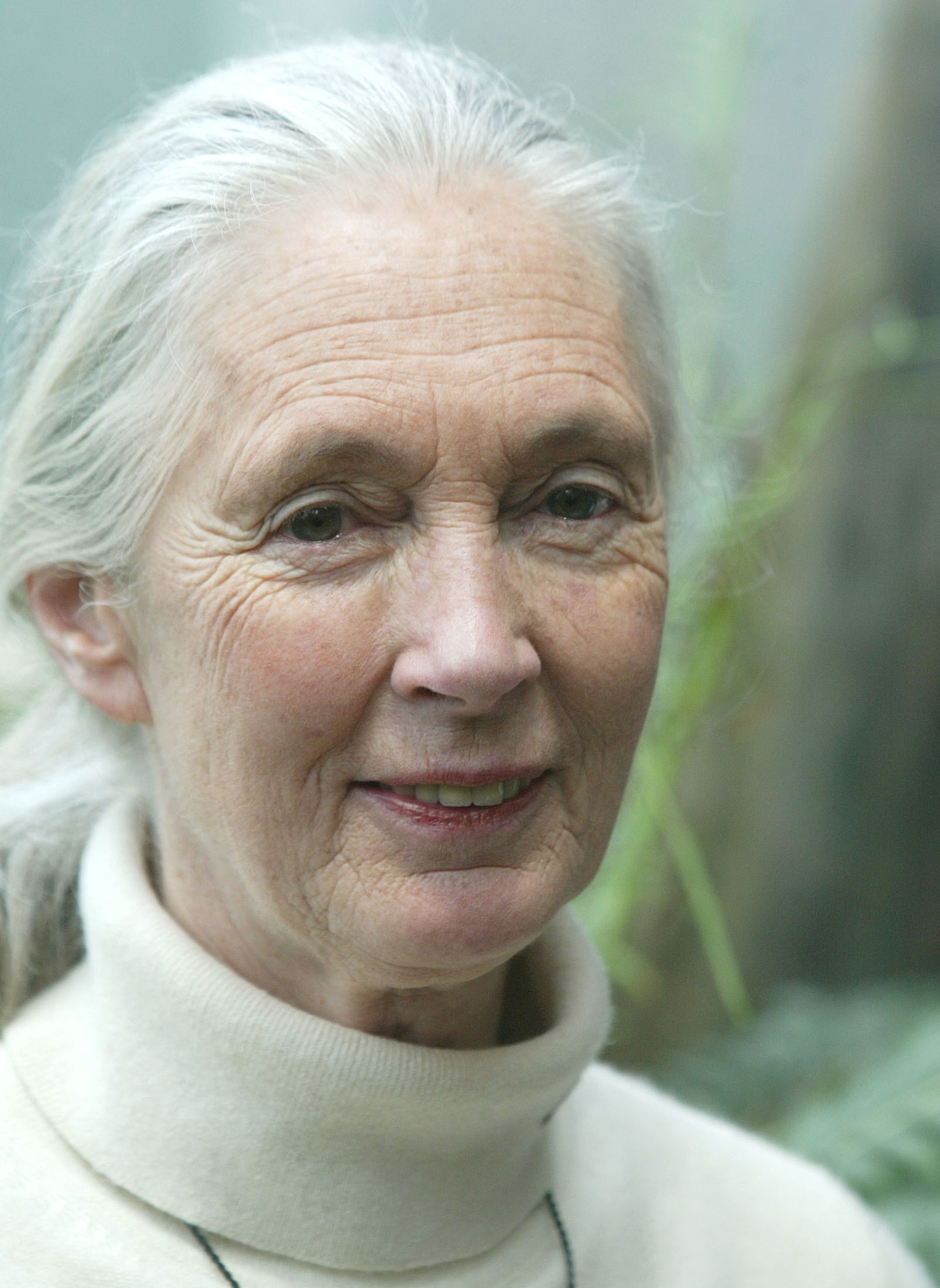 The Lisa Wexler Show – Jane Goodall’s Legacy