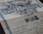 CT Today With Paul Pacelli – Scam Marriages In Bridgeport?