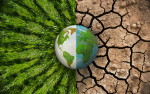 The Lisa Wexler Show – Is There An Environmental Paradox At All?