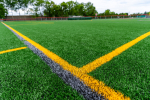 Melissa in the Morning: Artificial Turf Fields