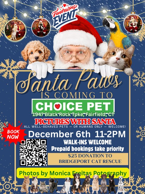 SANTA PAWS IS COMING TO CHOICE PET OF FAIRFIELD – PICTURES WITH SANTA!