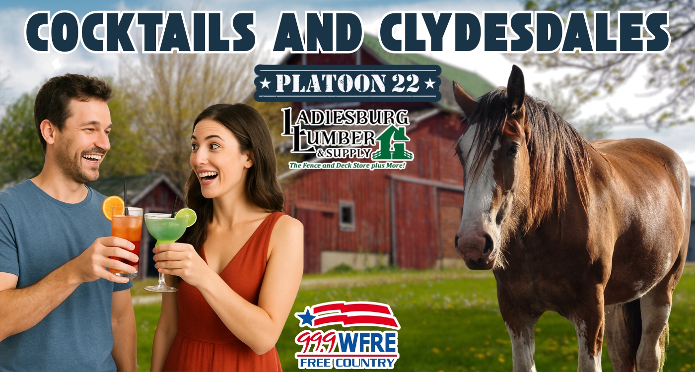 Cocktails and Cydesdales