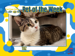 Taz The Auto Spas & Expresses Pet Of The Week