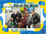 Lex The Auto Spas & Expresses Pet of the Week
