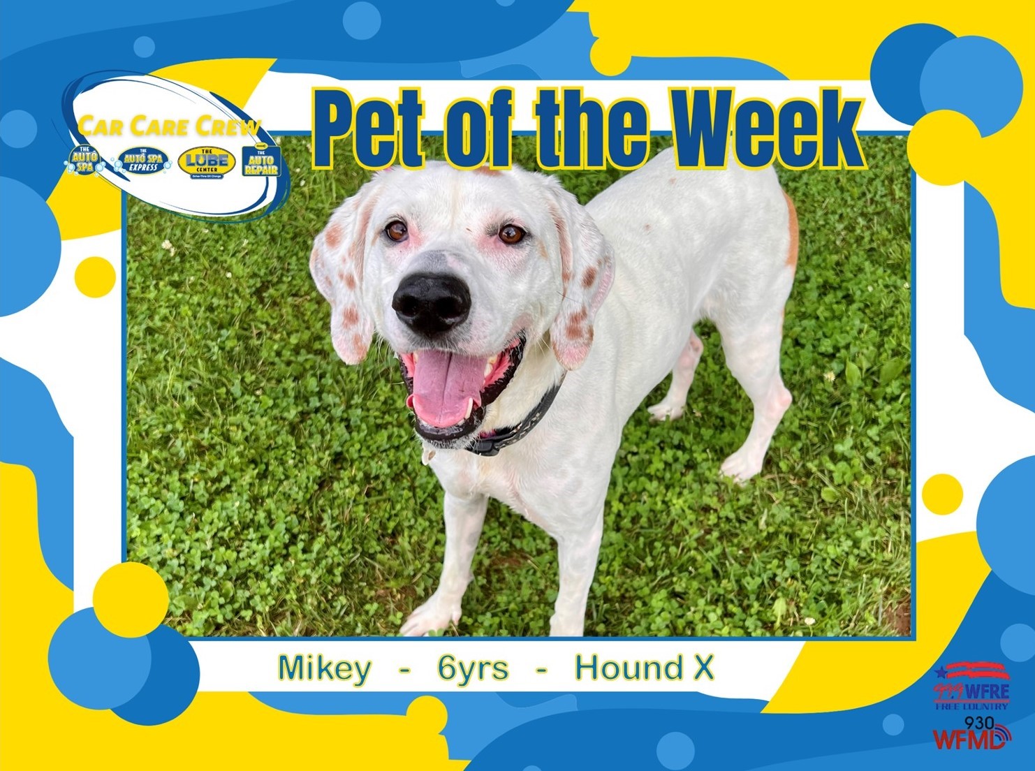 Pet of the Week – Mikey