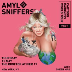Amyl and The Sniffers
