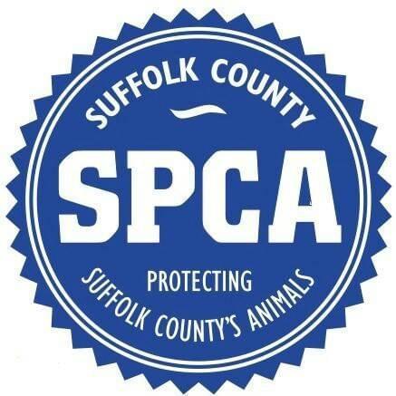 SPCA: Melville man facing misdemeanor charges after leaving dogs outside in heatwave