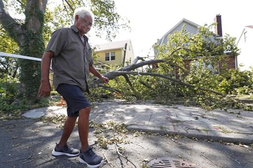 Brookhaven Town to collect Isaias storm debris