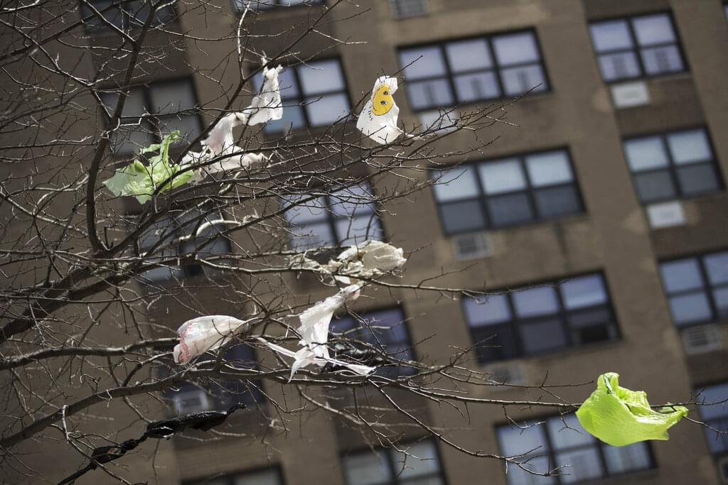 NY’s ban on plastic bags is back in effect