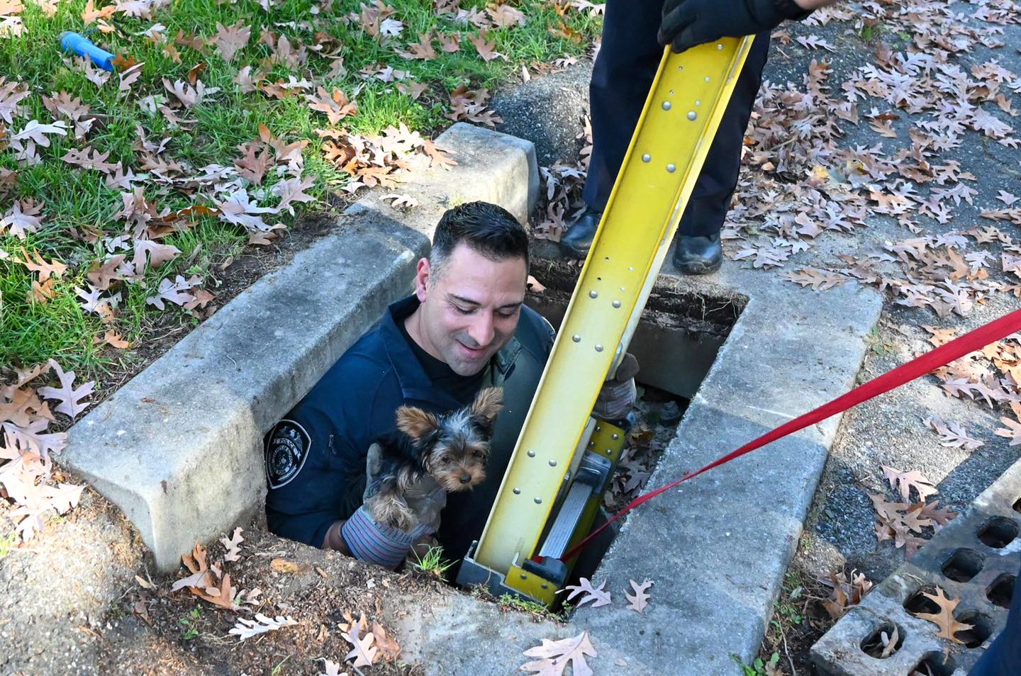 Hero Cop rescues dog from storm drain in Coram