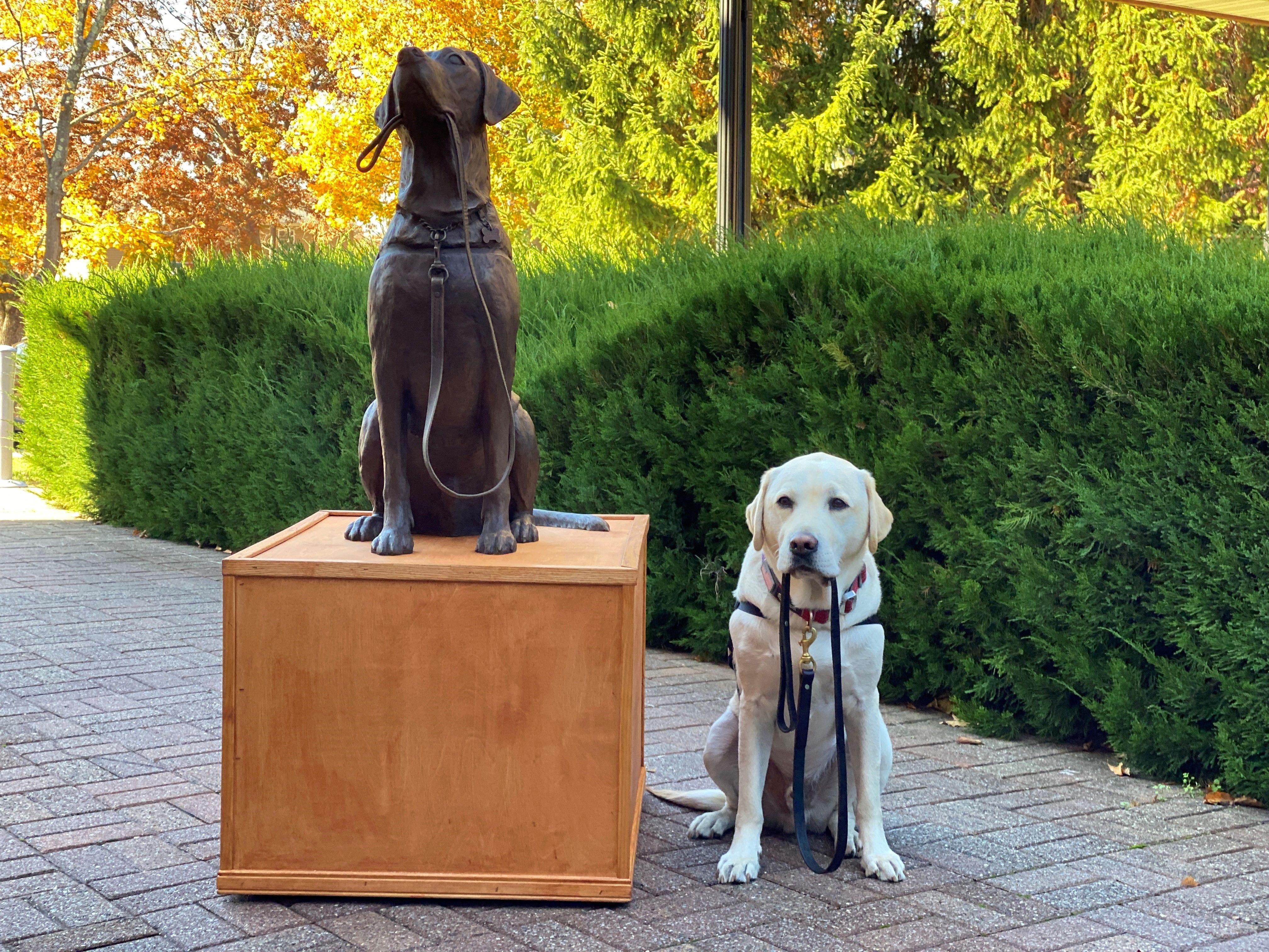 Sully The Service Dog gets a statue in Smithtown