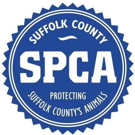 SPCA charges Suffolk man with Animal Cruelty