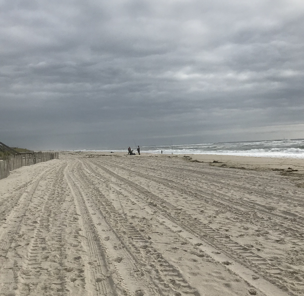 Winds whip into the weekend