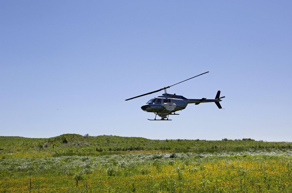 A low flying helicopter will apply pesticides today in Suffolk County