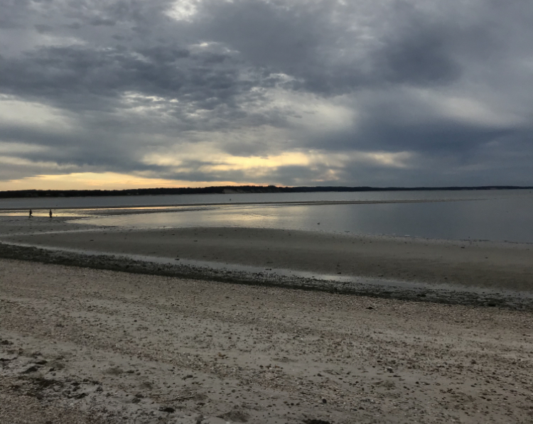 Several Long Island beaches are closed due to high bacteria levels