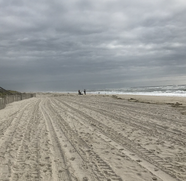 Nine Suffolk County beaches are closed due to high bacteria levels