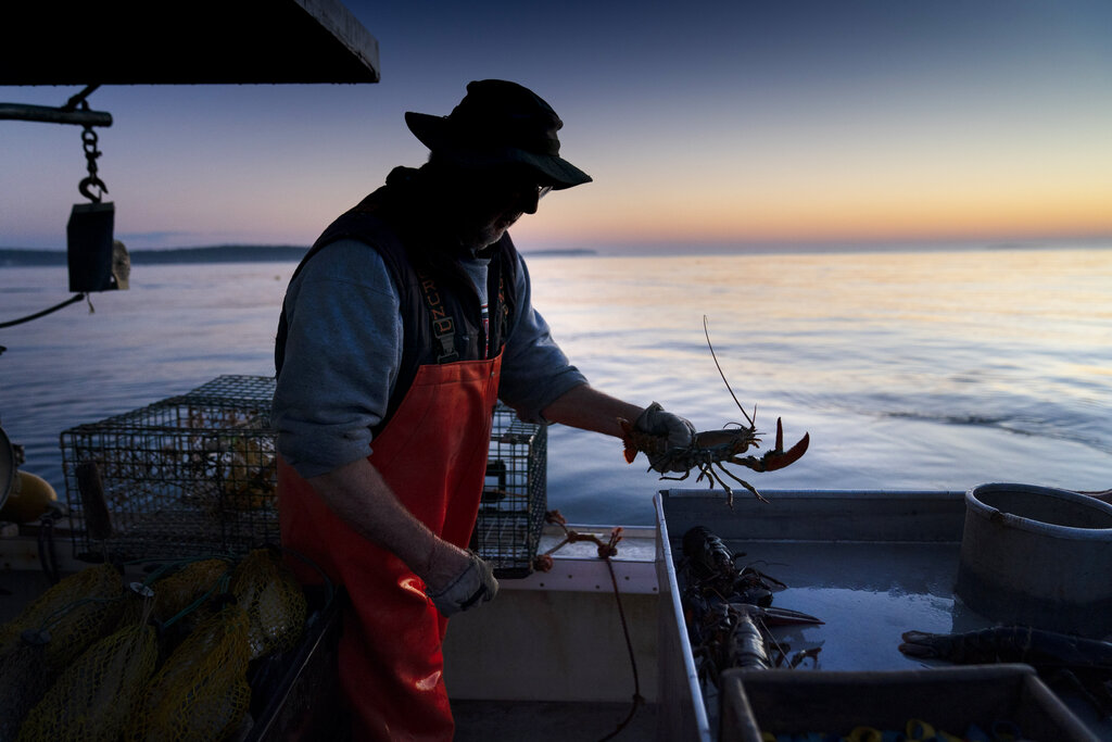 Hearings set for new electronic lobster boat tracking rules