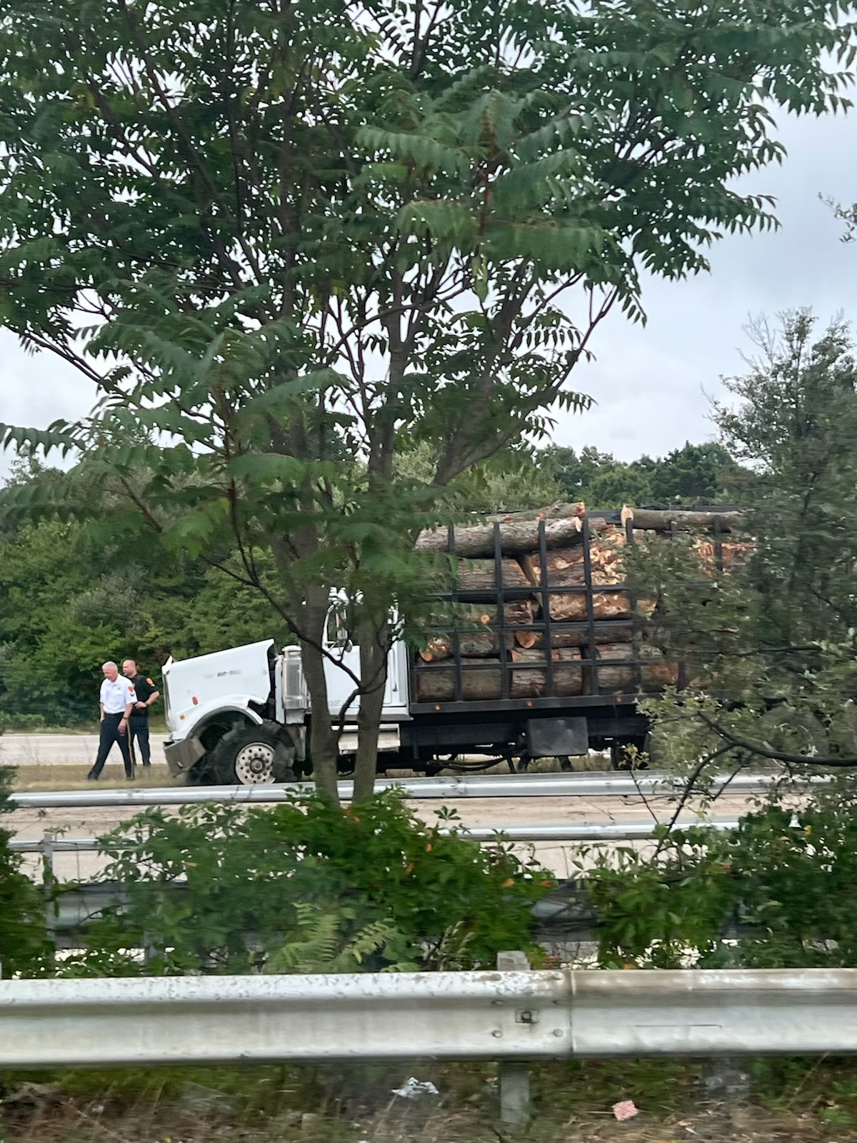 Truck carrying logs crashes through center divider on Sunrise Highway