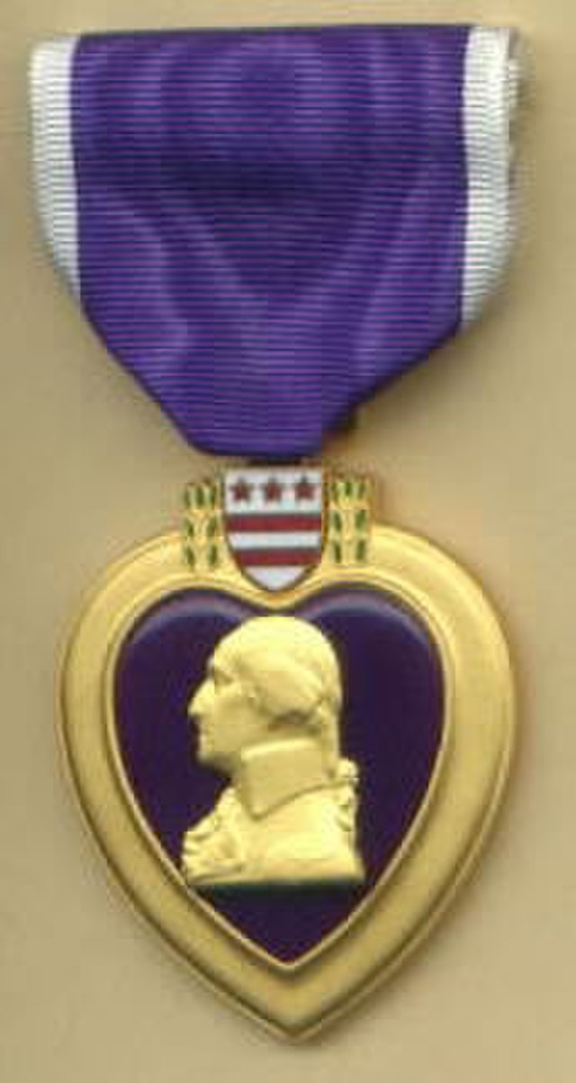 Veteran of the Iraq war receives Purple Heart in Glenn Cove