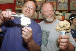 Ben & Jerry's Co-Founder Quits