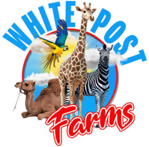 White Post Farms Fall Festival