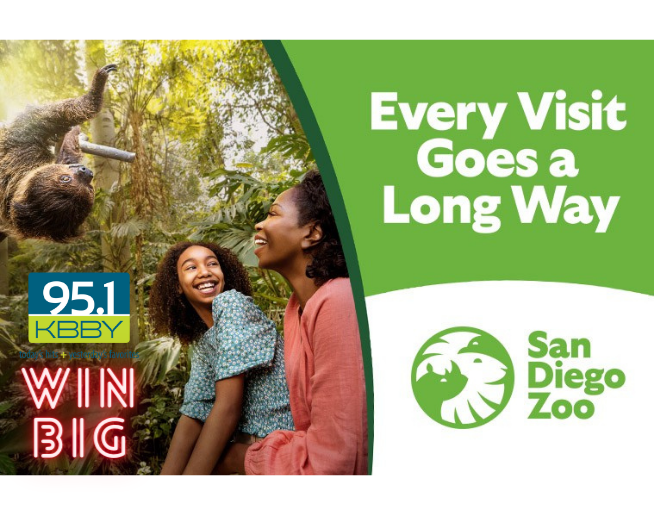 San Diego Zoo Contest