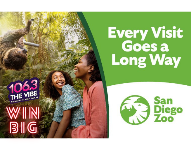 San Diego Zoo Contest