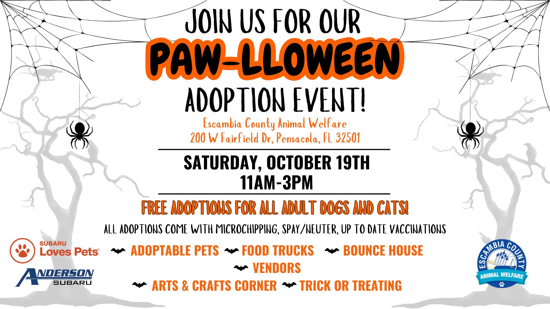 Paw-lloween Adoption Event