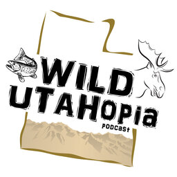 Do you have a wild side to your soul, Are you looking to your own Utopia., it’s all here right in your own back yard it’s all here in your Wild UTAHopia.
If its Wild and its Utah its Wild Utahopia. We talk about hunting big and small game, flyfishing Utah’s wild rivers, streams, and reservoirs, we cover backpacking and hiking Utah’s high country in the Utah Outdoors, learn about emergency first aid. Its Informative with your host David Carr a lifelong outdoorsman. 
            David grew up in Utah and graduated from Jordan high school. If you ever want to find David Carr, you can catch him outside, in the wild Utahopia