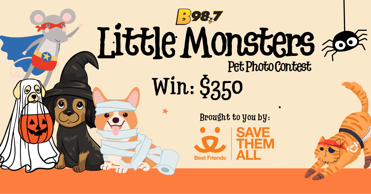 B98.7 Little Monsters Pet Photo Contest