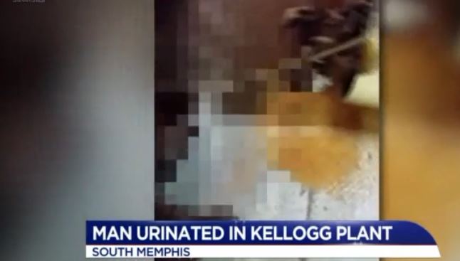 Investigators looking into video of man urinating on assembly line at Kellogg facility, Rice Krispies cereal and treats possibly affected