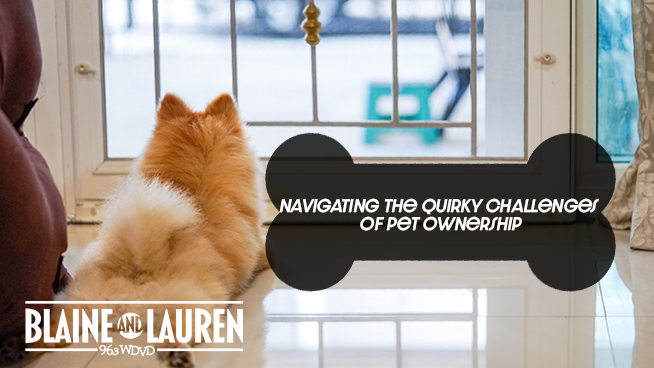 Navigating the Quirky Challenges of Pet Ownership