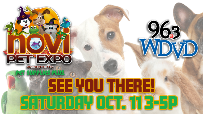 96.3 WDVD AT THE NOVI PET EXPO! | OCTOBER 11, 2025