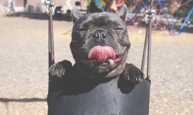The 34 Happiest Puppies on Earth