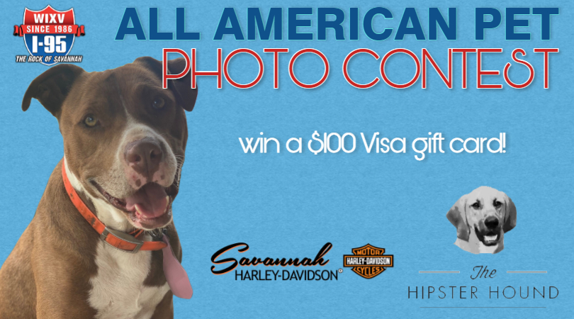 All American Pet Photo Contest Rules