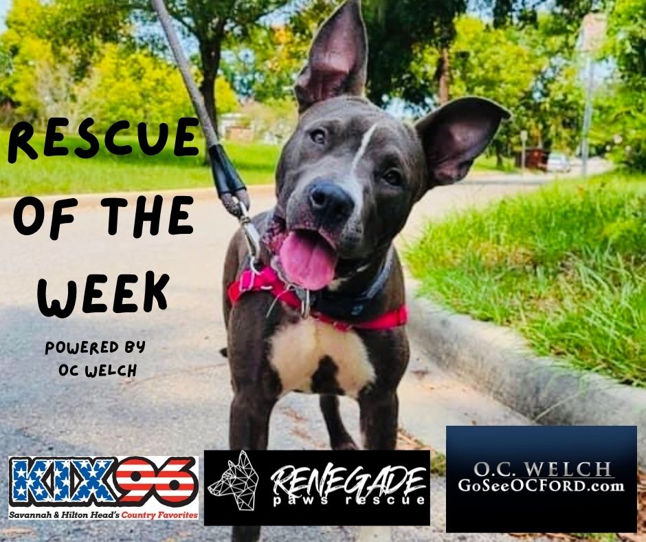Rescue of the Week!