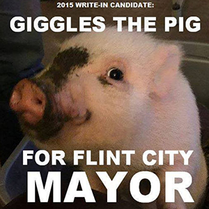 Giggles the pig is the newest candidate for Flint Mayor