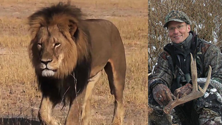 Cecil the lion’s killer insists hunt was legal