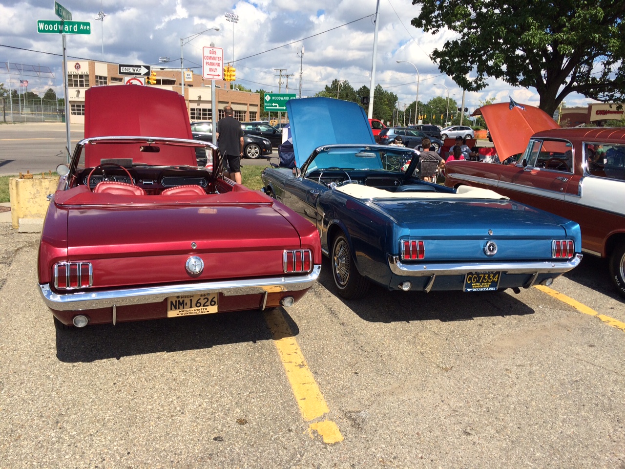 A behind the scenes look at the Woodward Dream Cruise from the Executive Director