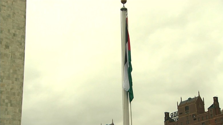 Palestinian flag flies at U.N. for first time