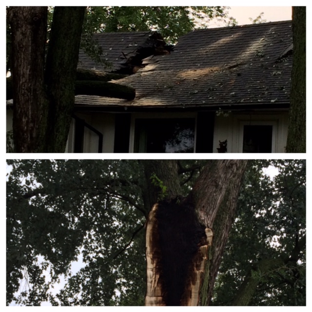 Lightening strikes tree, sends it crashing into Redford home